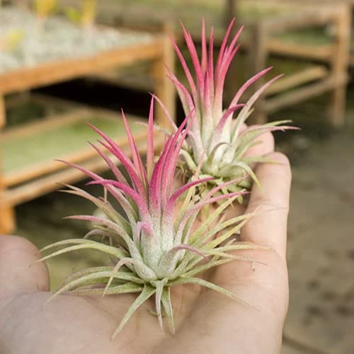 View 2