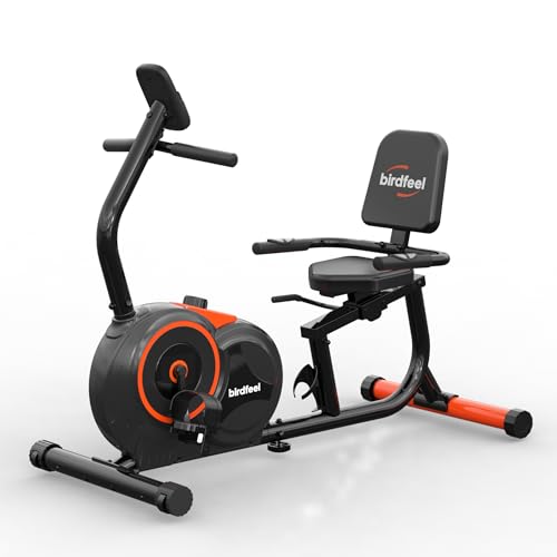 Recumbent Exercise Bike for Home,Recumbent Stationary Bikes for Adults & Seniors,Load Capacity of 400 pounds,Equipped with 16 Adjustable Gears, and Soft Adjustable Seats