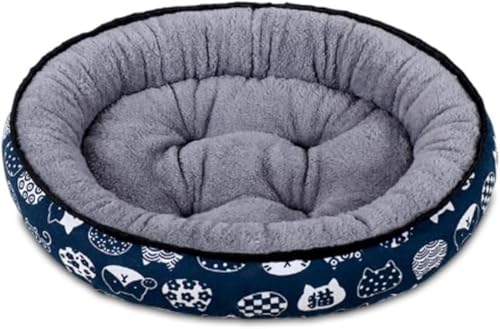 [AZIEBAY] LpEhxbh| _炩Q| ~ɒgfUC| Lp􂦂}bg