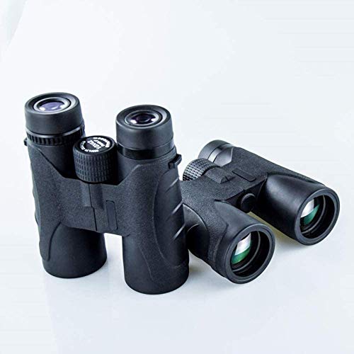 Binoculares 10x42 para exteriores y viajes miniatura 2