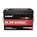 Dumfume 12V 300Ah(314ah) LiFePO4 Lithium Battery, 200A BMS Rechargeable Battery 4019Wh 15000+ Cycles,Low-Temp Protection Ideal for RV,Solar,Off-Grid Systems,Home Storage