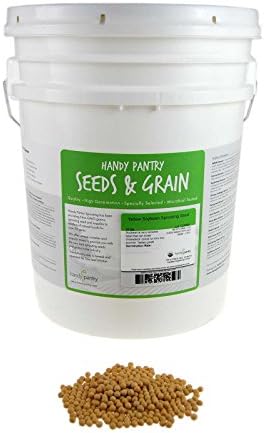 Certified Organic Dried Yellow Soybeans - 30 Lb - Perfect for Use in a Soy Milk Making Machine to Make Soy Milk. Makes Tofu, Roasted Soy Beans, Emergency Food Storage, More