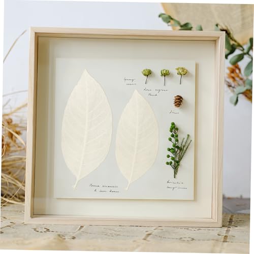Hojas secas naturales para manualidades 100 pcs miniatura 4