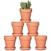Terra-cotta pots