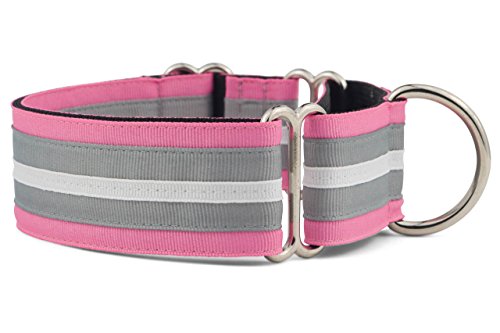 If It Barks - 1.5" Martingale Collar for Dogs - Adjustable - Nylon - Strong and Comfy - Ideal for Training - Made in USA - Large, Spunky