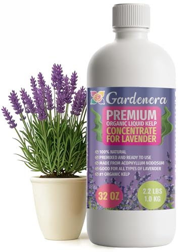 Gardenera Premium Organic Seaweed & Kelp Superfood