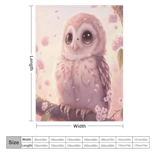 Couverture hibou plaid flannel douce chaude grand lit canapé lavable en machine