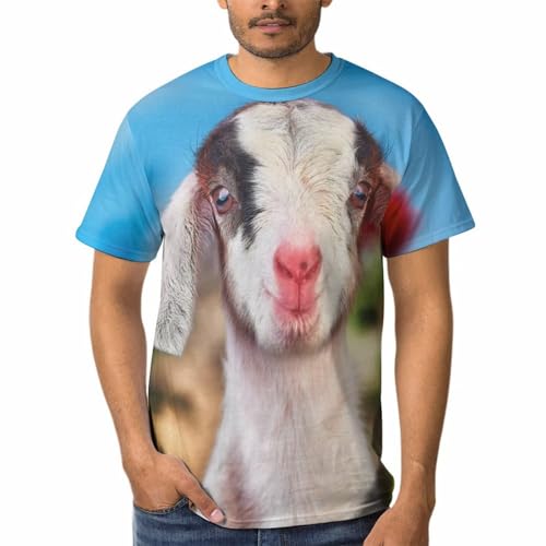 Tee shirt manches courtes homme idéal pour les sorties d'été décontractées
