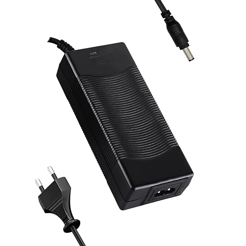 Scooter Corner 24V 29,4V 2A Ladegerät, für 24V...