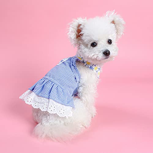 Vestido floral para perro Lovely Puppy talla M miniatura 5