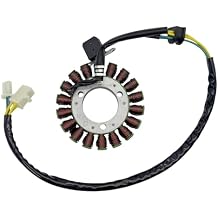 18 Poles Magneto Stator Coil Replacement for 250cc 260cc CN250 CH250 Elite Roketa Water Cooled Engine ATV Scooter Engine