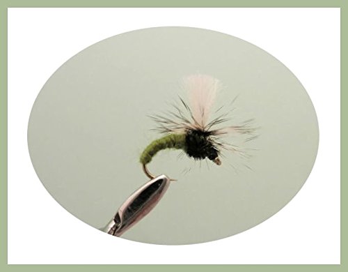 6 Pack of Olive Klinkhammer Trout Flies Choice (14/16)