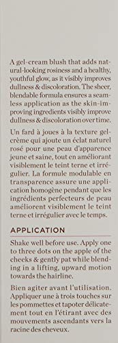 Perricone Md Gel No Makeup Blush 0.3 Ounce #TOP2