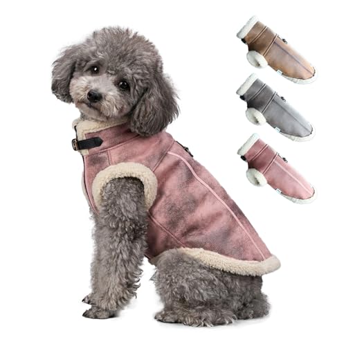 LUVMOJO Aviator Dog Jacket, Retro Faux Leather Winter Coats with Sherpa Lining for Puppy, Warm Bomber Uniform for Small and Medium Dogs & Cats, Girl Doggy Motorcycle Costumes Female, Pink, S
