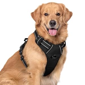 rabbitgoo Dog Harness No Pull with 2 Leash Clips, Adjustable Soft Padded, Reflective Oxford No Choke Pet Vest with Easy Control Handle for Large Dogs, Black, XL