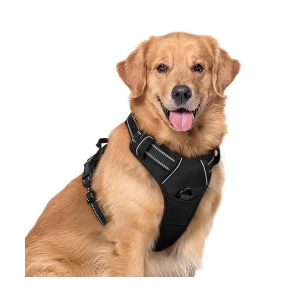 rabbitgoo Dog Harness No Pull with 2 Leash Clips, Adjustable Soft Padded, Reflective Oxford No Choke Pet Vest with Easy Control Handle for Large Dogs, Black, XL