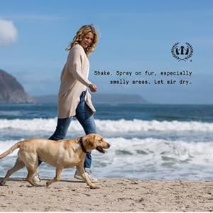 Muse Apothecary Pet Ritual Pet Cologne Spray for Dogs  Dog Perfume Spray Long Lasting After Bath  Pet Perfume for Dogs  Pet Deodorant Spray for Dogs  Essential Oils Infused  8oz Lavender Fields  Cucciolini Doodles Muse apothecary pet ritual pet cologne spray for dogs  dog perfume spray long lasting after bath  pet perfume for dogs  pet deodorant spray for dogs  essential oils infused  8oz lavender fields   cucciolini doodles