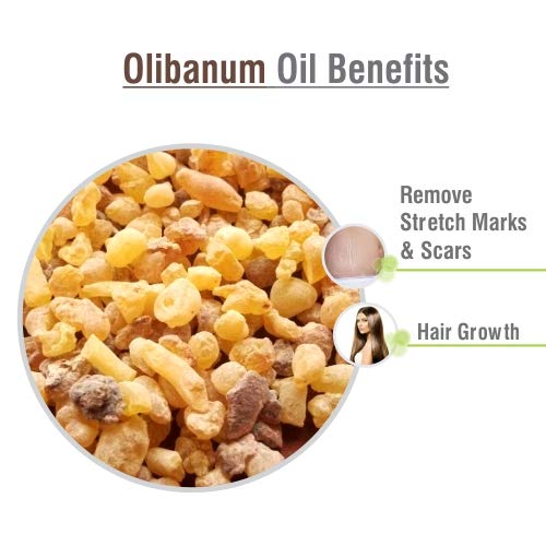 Image of Crysalis Olibanum (Boswellia Serrata) Oil |100% Pure & Natural Undiluted Essential Oil Organic Standard| For Body| For Relaxation| For Skin Therapy |Aromatherapy Oil| 100ml With Dropper