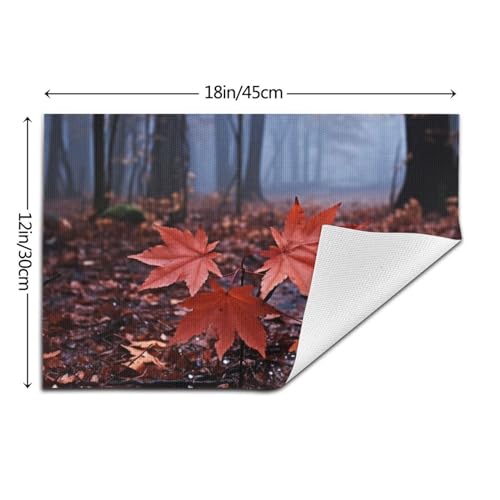 Sets de table en PVC 30x45 cm lavables et résistants pour la table - 5