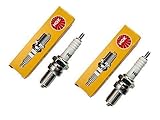  2 X Zündkerze NGK passend für Honda CX500 C PC01 (Güllepumpe) 1978-1982