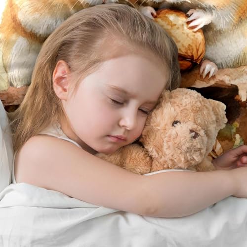Housses de coussin velours doux double face, protège et décore 50x50