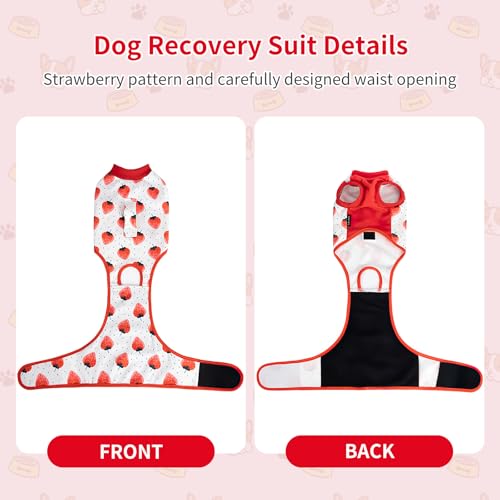 Image of Dog Recovery Suit After Surgery, Dog Surgery Suit Female Spay Recovery Suit for Small Medium Dogs, Prevent Licking Dog, Dog Wound Care Shirt Cone Alternative for Wound Protection(M)
