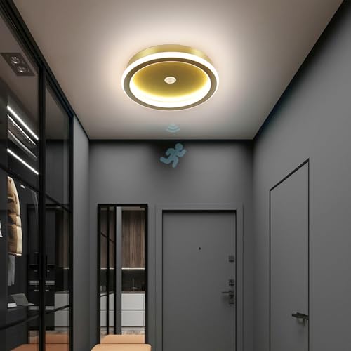 TZSMUM LED Moderno Lámpara de Techo con 120° Sensor de Movimiento Luz de Techo Interior Minimalista Geométrico Diseño Luces de Techo Acrílico Hierro para Sala de Estar (Luz Blanca,Oro Redondo)