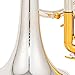 AUROSUS Double Trigger Bb Cornet 8358S Intermediate phosphor bronze Leadpipe 3rd Tuning Slide Finger Ring Brass Bell SGG Finish Nickel Silver Tuning Slides for High School Band and Advancing Players