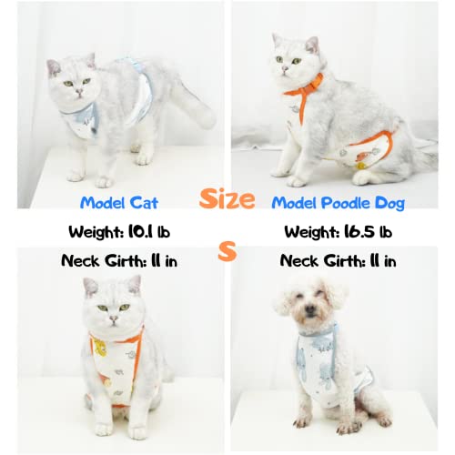 Cobertor para abdomen perro talla M azul miniatura 2