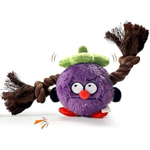 Halloween Plush Dog Toys for Puppy, Purple Squeaky Dog Chew Toys The Green hat on The Head Contains a Sound Paper， Fruit Theme Tug of War Dog Toy with Rope Knots for Small and Medium Dogs