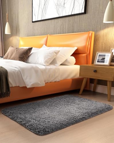 Ophanie 2x3 Small Rug Non Slip Throw Medium Gray Area Rugs, Fluffy Soft Carpet