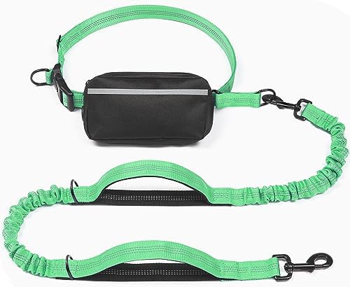 iYoShop Hands Free Dog Leash with Zipper Pouch, Dual Padded Handles and Durable Bungee for Walking, Jogging and Running Your Dog (Large, 25-120 lbs, Emerald)