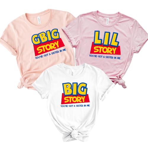 Big Little Sorority Shirts, Little Big Shirt, Sorority Reveal Party Gift (BCD228) Pink