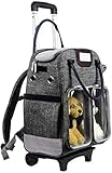 Multifonctionnel: Idéal pour animal porteur Voyage, multi-usage correspond à votre besoin comme sac à dos, porte-roulement, sac de chariot, porte-fourre-tout et porte-siège d'auto.