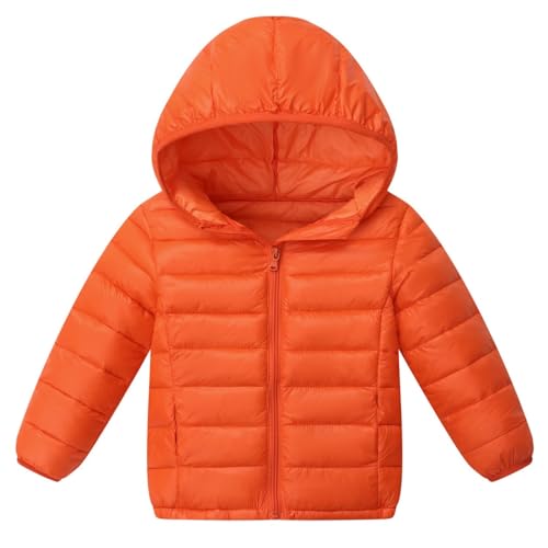 [HongzyFirm] q _ER[g _EWPbg LbY AE^[ - o[Vu R[g h h ̎q j̎q xr[ c y n  t[ht H~ _E WPbg q t H ~ ۉ g ʉ ʊw