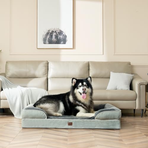 EHEYCIGA Orthopädisches Hundebett Kleine Hunde, 76x51cm, Memory Foam Hundekorb Mittelgroße Hunde, Waschbar Hundesofa Wasserdicht rutschfest, Hundecouch mit Hohem Rand, Gräuliches Grün