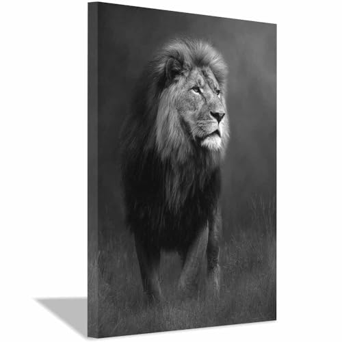 Tableau lion blanc sur toile haut de gamme 70x100cm encadrée décoration salon moderne