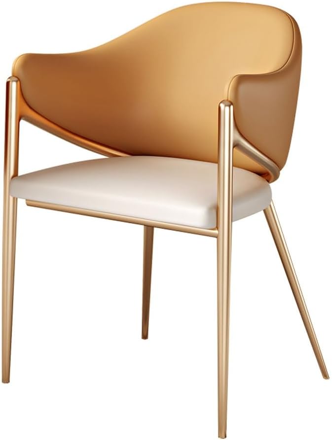 Comfortable Dinning Chair Designer Metal Office Bedroom Dining Chairs Kitchen Ornaments