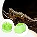WeiLaiKeQi Reptile Humidifier, Air Humidity Supplies Reptile Humidifying System for Chameleon, Green