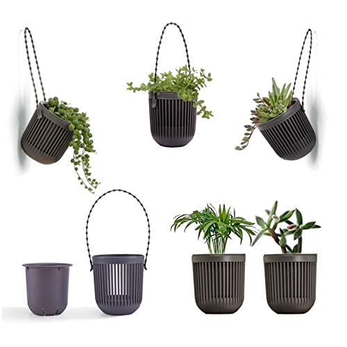 Melphoe Mini Hanging Succulent Planter