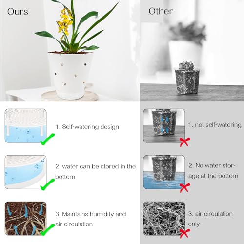 Mejores comprativas On-line Precio de orquídea natural los 10 mejores. 10 Mejores comprativas On-line Precio de orquídea natural los 10 mejores. 7