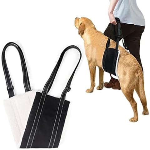 Harnais MHwan pour Chien Handicapé Cover
