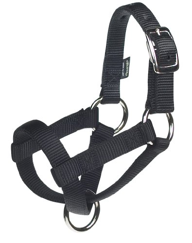 Weaver Leather Livestock Goat Halter , Black, Small/3/4-Inch