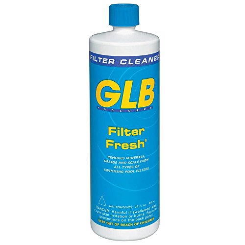 7 Amazingly Helpful Pool Filter Cleaning Solutions and Tools ALL