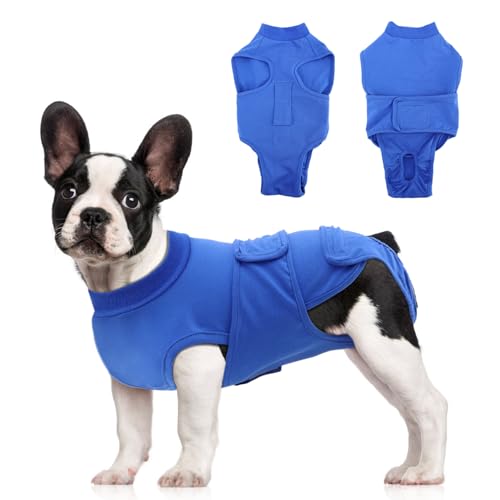 OYX ���p��p���J�o���[�X�[�c�A���߉\�ȃo�b�N�h�b�O�����W�[��p�����j���A���J�o���[E�J���[&�R�[����֎�p�p��D������p�A�ʋC���{�f�B�X�[�c�V���c�A�����r�ߖh�~�ی�A�u���[ S