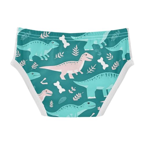 Wusikd Teal Dinosaurs Boys' Underwear Cotton White Bones Boys Briefs Soft Toddler Underwear 2T2