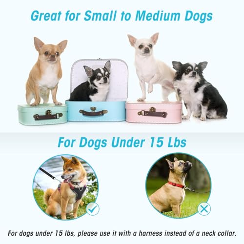 oneisall Freihandleinen für kleine & mittelgroße Hunde, Hundeleine 2.5m verstellbar Übungsleine & Führleine | Nylon Doppelleine mit 2 Karabiner Schwarz