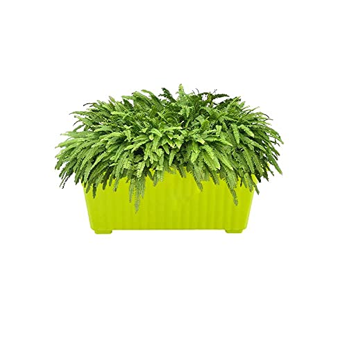 Image of Rectangular Plastic Pots for Plants, Window Flower Pots for Home, Window Display, Garden (Multicolor 14 inch - 1 pc)