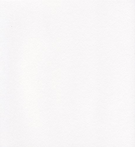 エスケント ケント紙 スターカラー 八切 ホワイト 100枚 5720008