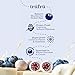 Tru Fru Nature's Blueberries Hyper-Dried in Crème, Premium Gourmet Freeze Dried Snack, 4.2 oz